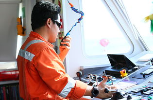 海事處技術(shù)服務(wù)中的信息技術(shù)咨詢服務(wù)